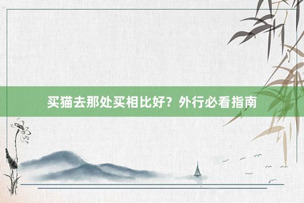 买猫去那处买相比好？外行必看指南