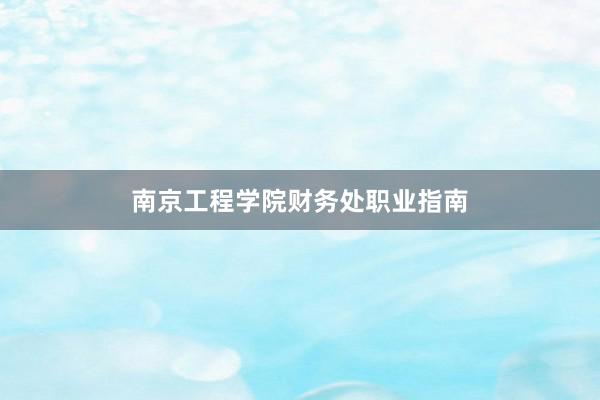 南京工程学院财务处职业指南